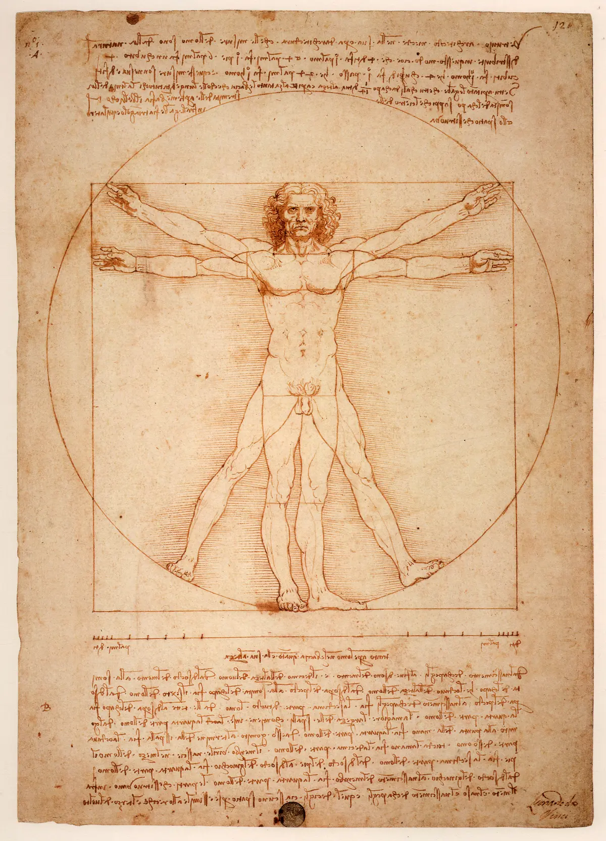 Leonardo da Vinci’s Vitruvian Man, combining anatomical study, handwritten notes, and geometric construction.